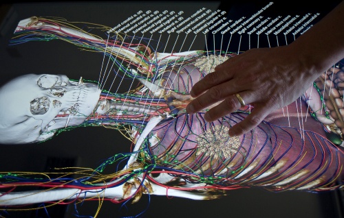 Progetto Anatomeetings