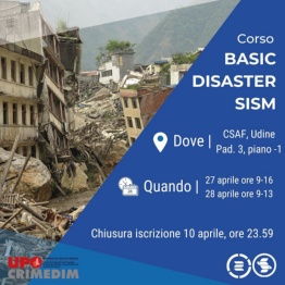 Basic Disaster SISM