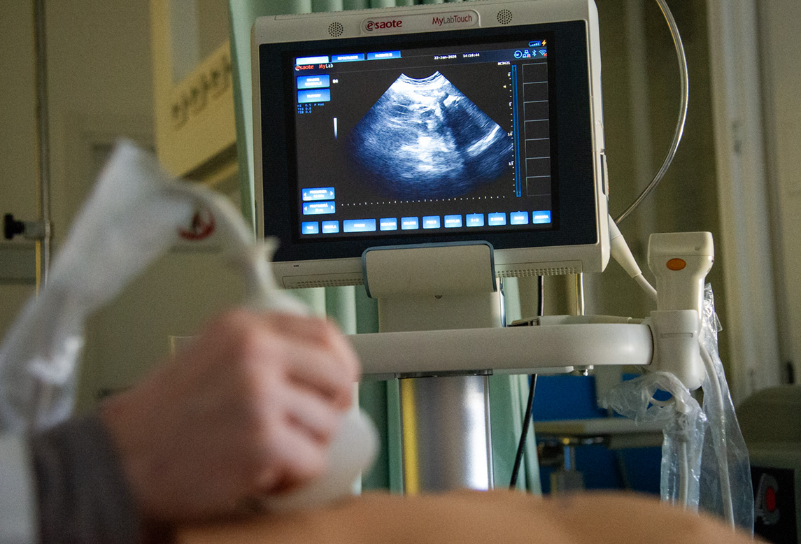 Ecography for the future