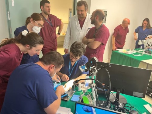 Esercitazione Microchirurgica su TCV