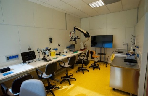 Evento formativo congiunto Udine-Padova