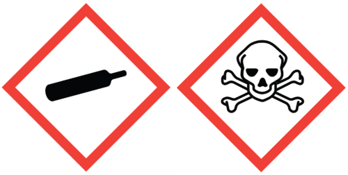 Revisione delle patenti di abilitazione per l'impiego dei gas tossici rilasciate o revisionate nel periodo 1° gennaio - 31 dicembre 2020