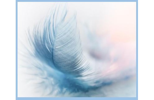 Začnimo pri nas. Zgodba o ženskah iz dežele FJK