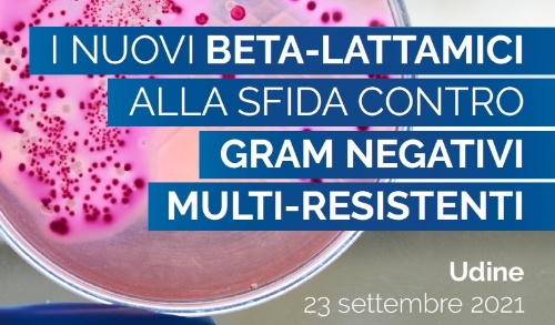 Die neuen Beta-Laktam Antibiotika zur Herausforderung gegen multiwiderstandsfähigen gramnegativen Bakterien