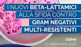 Die neuen Beta-Laktam Antibiotika zur Herausforderung gegen multiwiderstandsfähigen gramnegativen Bakterien