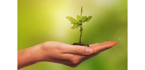 Il benessere della persona: due incontri per assistenti familiari e care giver