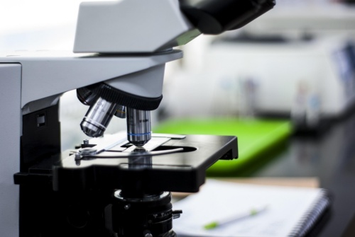 Al Burlo scoperta una nuova malattia genetica rara