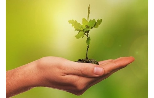 Incuintris cun assistentis di famee