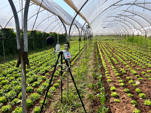 Stress di calôr sul lavôr: un probleme simpri plui rilevant