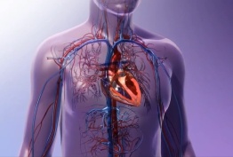 Prva presaditev bijajočega srčnega organa v Evropi