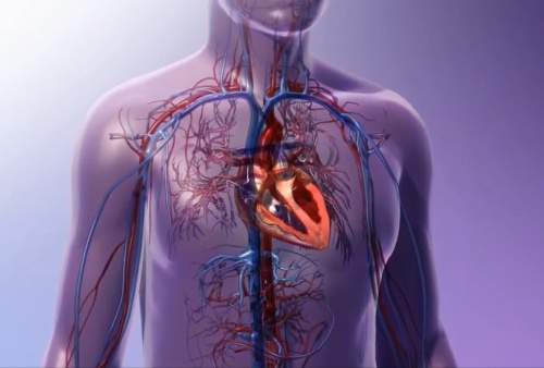 Pe prime volte in Europe, fat un traplant di cûr intant che al bat